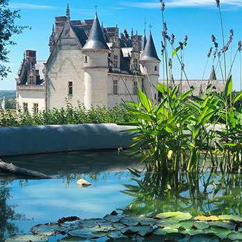 chateau-amboise